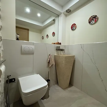 Duplex Luxueux En Plein Centre Du Vieil *